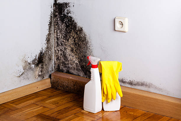 Water Damage Restoration in North Kansas City, MO